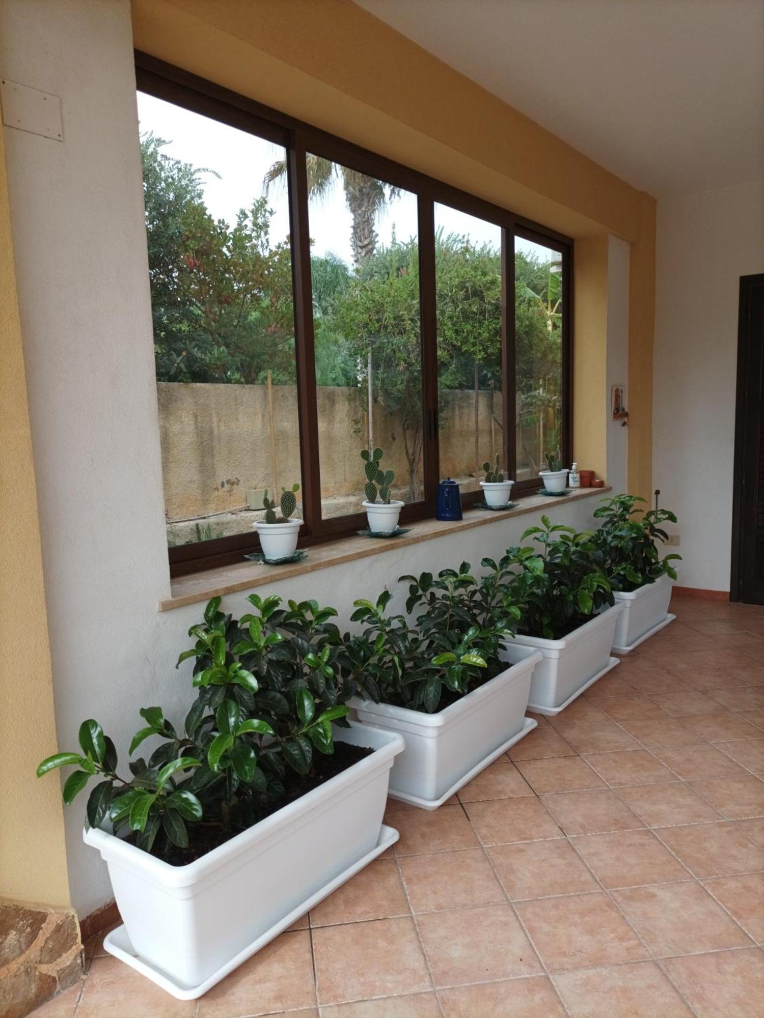 Acasammare Apartment Marsala Ngoại thất bức ảnh